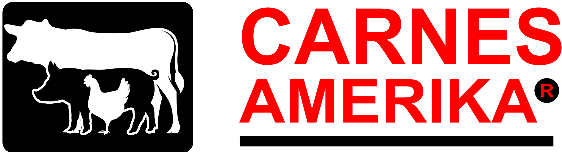CARNES AMERIKA